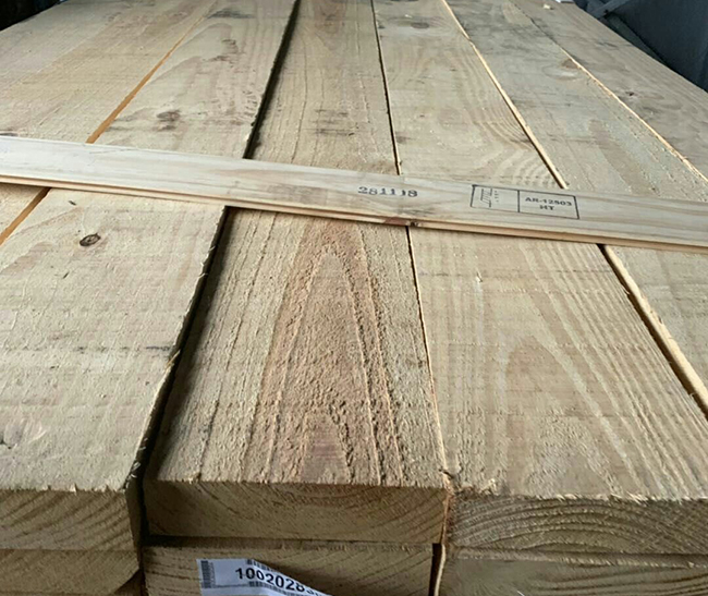 祁门阿根廷松木